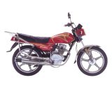 Motorcycle (Wuyang Wudai RY125-6)