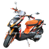 150cc/125cc/50cc Motor Scooter, Gas Scooter (TTX Luxurious Version)