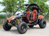 Youth Go Kart Buggy ATV Df200gkf off Road Recreation Vehicle