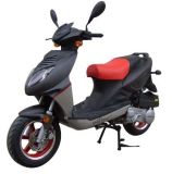 EEC / COC Approved 50cc / 125cc Motorcycle / Scooter (FM50T-10 / FM125T-10)