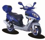 Scooter (QP125T-6)