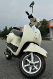 3500W Electric Scooter (TM-300)