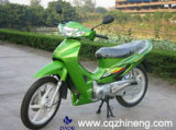 Motorcycle (ZN125-17)
