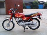 Motorcycle(AX100)(LX100-6)