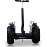 Two Wheel Standing Electric Scooter