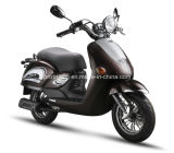 Fashion Popular 50cc EEC for Scooter (SP50QT-11)