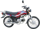 Motorcycle (GW100-8)