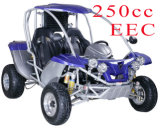Hot Sold 250CC EEC Buggy (RLG2-250DZ)