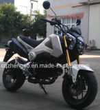 All Road Motorbike for Hot Motorcycle Mini Street Bike X-Treme 125 (MSX125)
