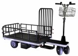Electric Cargo Motorcycle (DH-PS1-C8 Heavy Duty, Half Fence, Curtis Controller, 800W Motor)
