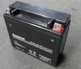Good Chinese Supplier 12 Volt Battery Yb7bl-BS Rechargeable Sealed Motorcycle Battery