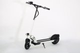 New Foldable Scooter