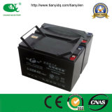 12V65ah Gel VRLA Battery as Electric Tricycle Parts