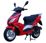 F22 China Manufacture Scooter