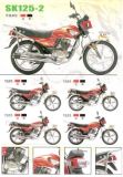Economy Motorcycle 125cc (SK125-2)