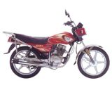 Motorcycle (Wuyang Qiling RY125-6)