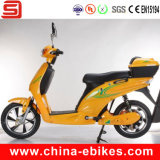2 Wheel Electric Scooter (JSE215)