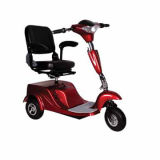 Electric Scooter (SYE-05B)