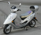 Electric Scooter (INE-13 500W)