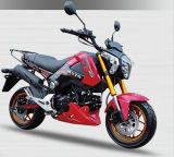 Mini Dirt 150cc Motorbike for Sale