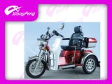 Handicapped Tricycle, Discapacitados Triciclo, Tricycle with Tool Box