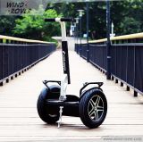 2 Wheel and Self Balancing Scooter Electric Mobility Scooter