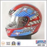 Cool Full Face Motorcycle Helmet (FL105)