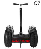 Big 19 Inch 2 Wheel Balance Scooter with Remote Control