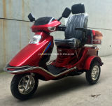 110cc High Back and Comfortable Seat Handicapped Scooter (DTR-8B)