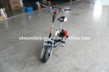 Gas Scooter (YC-9004)