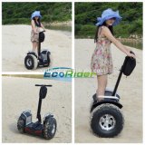 Beach Use Two Wheel Electric Scooter Mobility Scooter for Fun
