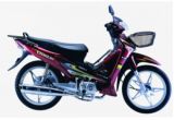 Motorcycle (CM110-4 Classic)