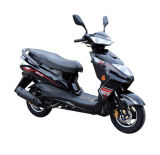 China Disc Brake	Mini	EEC Approved Scooter (SY50T-1)