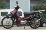 Electric Motorcycle (TDM-06Z)