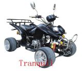 50cc New Model Superquality ATV (50SS-2)