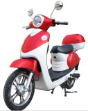 Electric Scooter (TDR48K72)