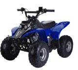 ATV(QUAD) (LW-401)