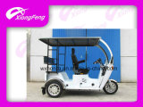 110cc Disabled Passenger Tricycle, 2014 Hot Sales