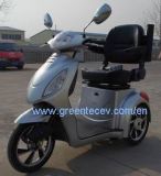 Electric Scooter S18-C