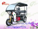 110cc/125cc Passenger Disabled Tricycle with Cover, Handicapped Tricycle