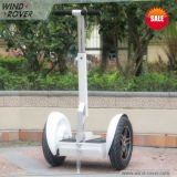 2 Wheel Standing China Electric Scooter