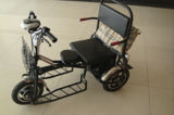 Tricycle (BBX-001)