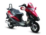 125CC Scooter (Doctor A SKS125-4)