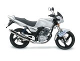 Motorcycle (BYQ150-2)