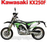 Enduro Bike, Full Size Dirt Bike, 250cc Motorcycle (DR860D)