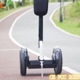 2 Wheel Self Balance Electric Scooter