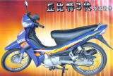 Motorcycle Mode (ZH110-6SUZUKI)