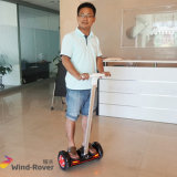 2 Wheel Standing up Electric Mini Scooter