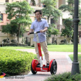 Mini Two Wheel Electric Mobility Scooter, Electric Scooter
