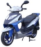 Popular Falcon 1 Scooter